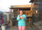 �㽱�룺Ů����ġ�СС��š�(ͼ)