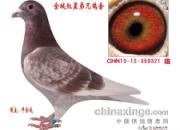 �����筺�������Ǿ�(ͼ)