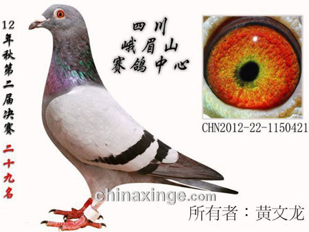 �ҵ��ֵܣ���һ���ۼҷ��ж�ʧ(ͼ)