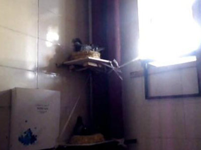 ��Ƶ�������������Ÿ�