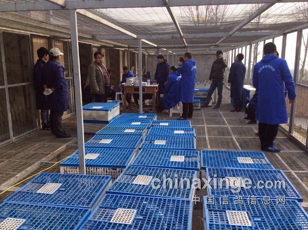 ����ʢ�蹫�����6478��(ͼ)