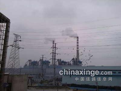 �������ѹ���� �Ż�Ѽ�(ͼ)