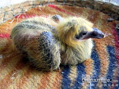 ������ö�ƻ��ڳ������(ͼ)