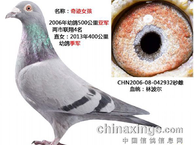 Խ��Խ��ĸ�������ɣ��ʿ(ͼ)