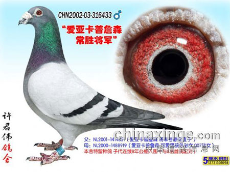 ��ڣ���ʧ�ġ���ʤ������(ͼ)