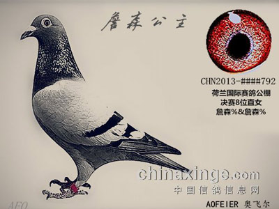 ����ȡʤ�ķ����������ʸ�