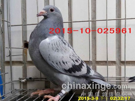 ����С����Զ������ǰ��Ӱ(ͼ)