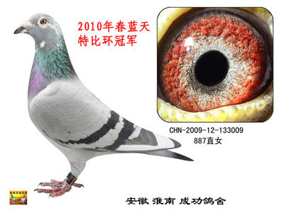 ���رȿɵ�Ļ���� ����Ͳ���