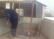 16������������ �ϰִ��ɨ��(ͼ)