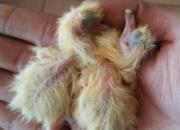 �ָ�û���� �ճ����׸뱻����(ͼ)