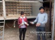 ����ǰ���׷׸��� ���и�������