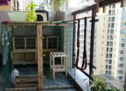 ��̨���룺��Ϊϲ����������(ͼ)