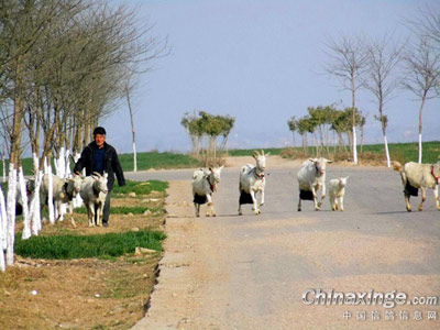 ѵ��;��������(ͼ)