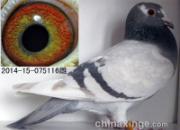 ��װ�����������(ͼ)