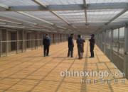 ���ģͶ�ʣ��ι۰�����ǹ���(ͼ)