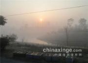 ѵ�������� �ճ��ɷŷ�(ͼ)