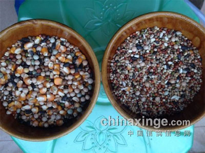 �ǽ������ָ���������ʢԭ��(ͼ)