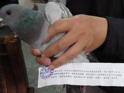 ̨�徯���������������� �ɸ봫��Ѱ����(ͼ)