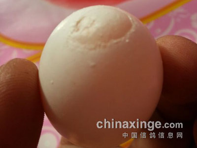 �ָ��������õ���ô�죿