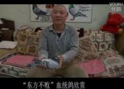 ��������̸ͨ���������ܡ�Ѫͳ��