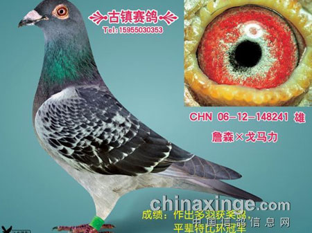 С�����ڹ����������(ͼ)