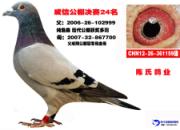 �����ϻҴƣ������ѵ�һ�ø�