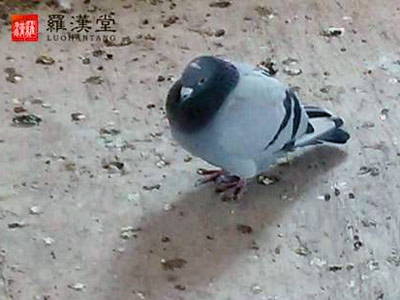 �޺�˵��135�ڣ���ѧ����Ҿ�������ʵ¼(��)