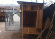 �߰�Ԫ������ɫ��˫�˴�������(ͼ)