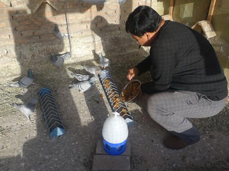 ������������ѵ���ڹ���(ͼ)