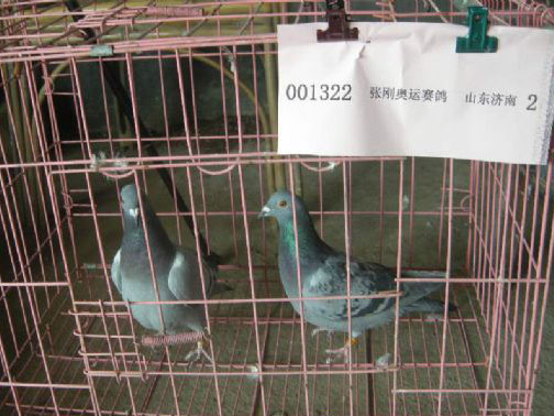 2015������̽��ͼƬ