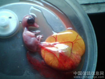 ������Ӧ����Ĳ�ǡ������(ͼ)