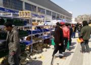 ��15���ȷ���չ������չ�����(ͼ)