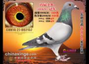 ���ｻ�����ھ�6����ʵ������������