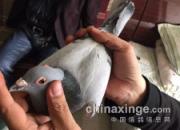 �����͹���ǰ�������׷��ҵ����(ͼ)