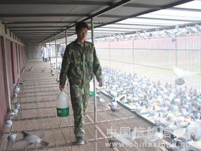 ������Ѳ����� �ط�Э��Ҫ���ꣿ