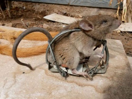 ͵�Ը����������󡱷���(ͼ)