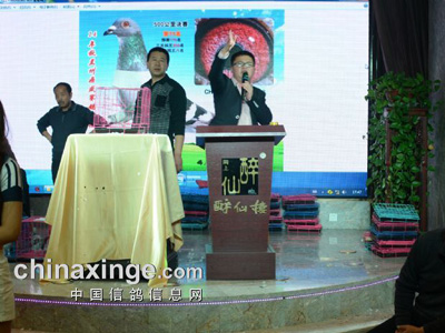 ��������ʦ���빫���Ŷ� ��������Ա������(ͼ)