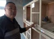 ������������������ָ�ʵ¼