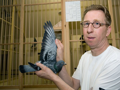 ���ܴ����������