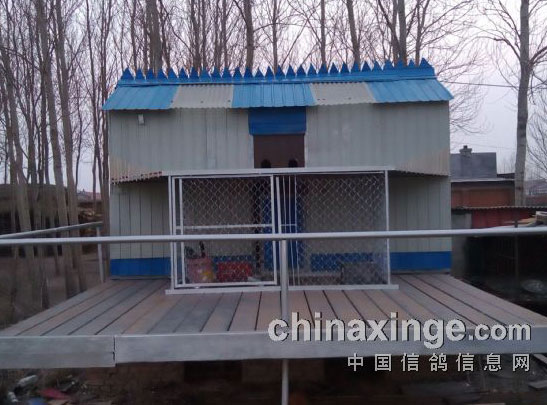 ����������ڿ���(ͼ)