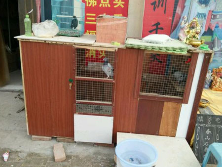 �������ϴ���׸���(ͼ)