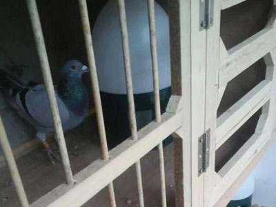 ����������̨��(ͼ)