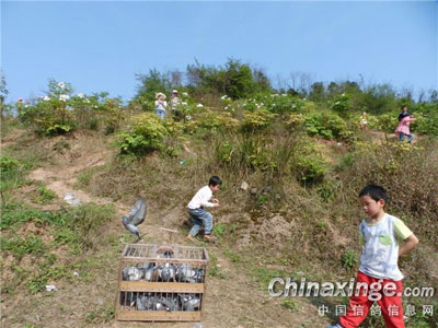 ��ů������ĵ�����·ŷɸ�(ͼ)