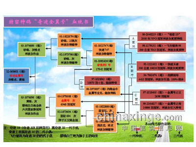 ���ָ��١�����д����(ͼ)