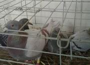 ˭˵��ķ�벻�ܷ���ֻ��