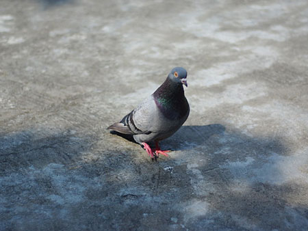 ��룺�����������ǧ�����ң�