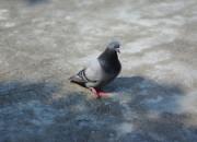 ��룺�����������ǧ�����ң�