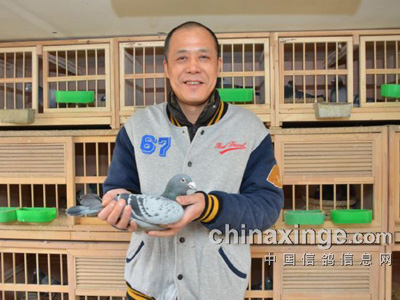 ר���Ϻ��������᣺׷��ָ���ھ�(ͼ)