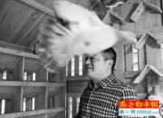 �麣���Ѽ��£��������������