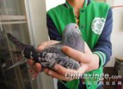 ���������� ���Ѵ�����úö��顱(ͼ)